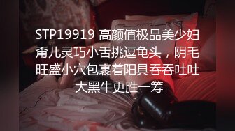 STP19919 高颜值极品美少妇甭儿灵巧小舌挑逗龟头，阴毛旺盛小穴包裹着阳具吞吞吐吐 大黑牛更胜一筹