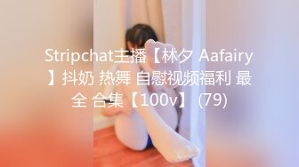 Stripchat主播【林夕 Aafairy】抖奶 热舞 自慰视频福利 最全 合集【100v】 (79)