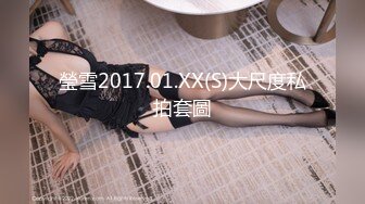 瑩雪2017.01.XX(S)大尺度私拍套圖