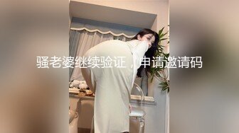 骚老婆继续验证，申请邀请码