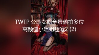 TWTP 公园女厕全景偷拍多位高颜值小姐姐嘘嘘2 (2)