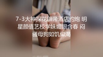 【酒店系列】之正副机长下了飞机后都干嘛去了？下集 只要1元