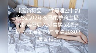 亚洲精品A级无码高清