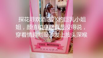 国内厕拍大神潜入酒店大堂女厕偷窥两个高颜值美女嘘嘘同伙在出口拍脸