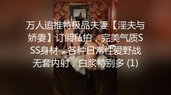 浓妆艳抹的美美妖TS微微和绿茶婊车震，无套猛操这个婊子，干高潮干内射 要多爽有多爽！