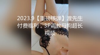 女神『Diary』三亚淫乱夜 落地窗前和单男前怼后操美乳女友