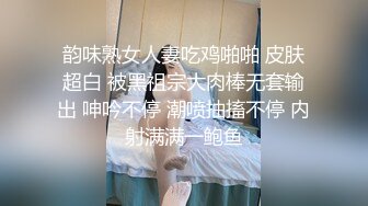 SH-013女优面试日记-吴心语