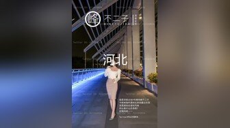 麻豆传媒 MMZ-048 偷情圣诞夜 小奶狗调教淫妻骚B