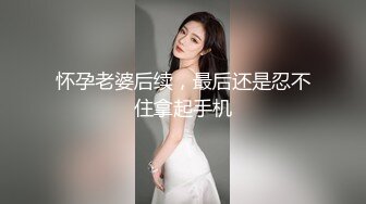 贵阳双子塔窗边后入少女嚎叫高潮