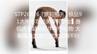  新黑客破解家庭摄像头偷拍 年轻夫妻真会玩看着平板花里胡哨肛塞调情花样操逼