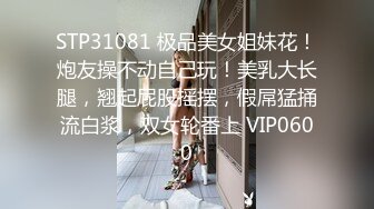 麻豆传媒 mdwp-0033 淫行ktv-赵晓涵