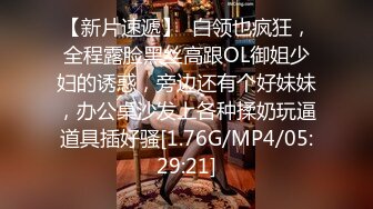 女友高清系列（第二部）