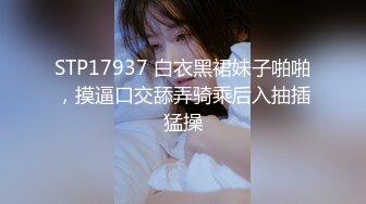 STP31539 天美传媒 TMW176 羞耻调教性奴隶 温芮欣 VIP0600