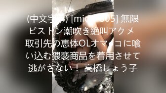 ノーブラで僕を誘惑する隣に引っ越してきたエッチな巨乳奥さん 斉藤みゆ