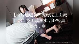 和漂亮高挑的妹子爱爱 女上+后入完整版 浪叫声此起彼伏