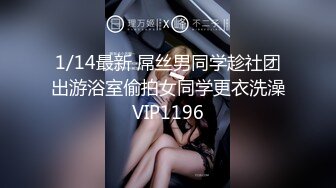 MIAB-054 [自提征用]无内诱惑我的淫乱人妻 忍耐不住后的性欲兽化 末广纯