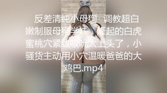 【MP4/HD】顶级超人气爆乳女神 ▌乐乐▌经典痴汉电车《尾行》侵犯女神 尾随强势后入肏弄尤物