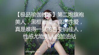 我的私下宠物女仆