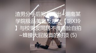 陈萌.合租男女.无法回房的他却成了我的炮友.91制片厂