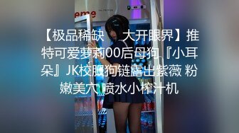 麻豆传媒 MD-0190-2 我是苏畅我回来了 柔美少女正式回归 人群背后的玩火露出