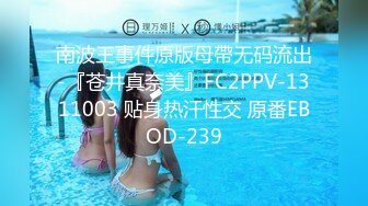 南波王事件原版母帶无码流出-『苍井真奈美』FC2PPV-1311003 贴身热汗性交 原番EBOD-239