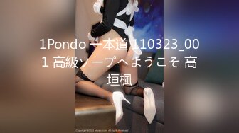 1Pondo 一本道 110323_001 高級ソープへようこそ 高垣楓