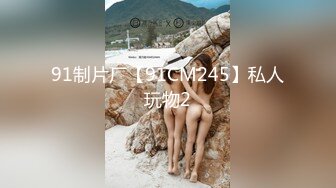 91制片厂【91CM245】私人玩物2