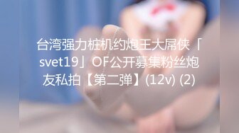 台湾强力桩机约炮王大屌侠「svet19」OF公开募集粉丝炮友私拍【第二弹】(12v) (2)