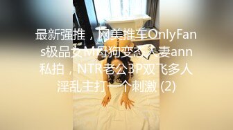 最新强推，网美推车OnlyFans极品女M母狗变态人妻ann私拍，NTR老公3P双飞多人淫乱主打一个刺激 (2)