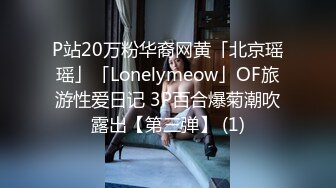 P站20万粉华裔网黄「北京瑶瑶」「Lonelymeow」OF旅游性爱日记 3P百合爆菊潮吹露出【第三弹】 (1)