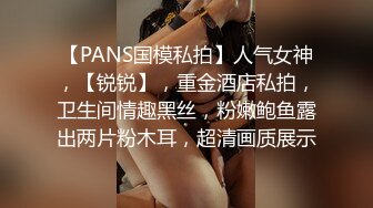 【PANS国模私拍】人气女神，【锐锐】，重金酒店私拍，卫生间情趣黑丝，粉嫩鲍鱼露出两片粉木耳，超清画质展示