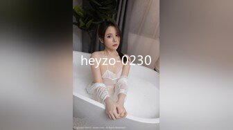 heyzo-0230